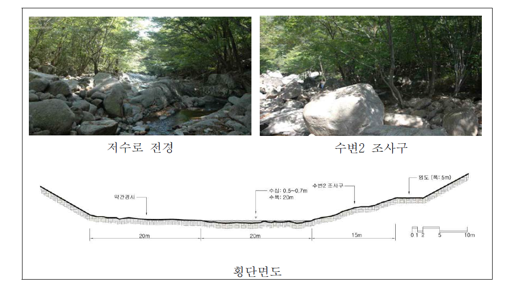 수어천 중류 자연수변림 횡단면구조