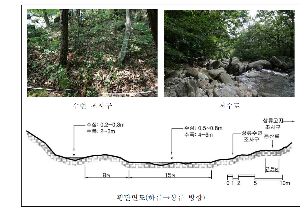 마산천 상류 자연수변림 횡단면구조