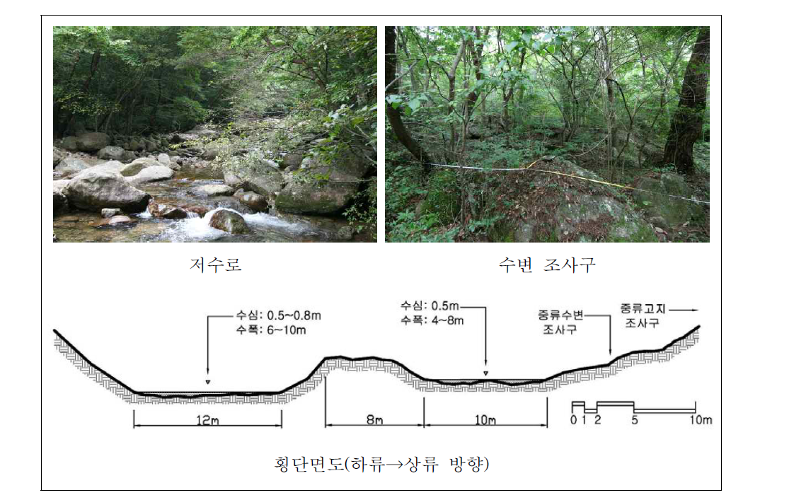 마산천 중류 자연수변림 횡단면구조