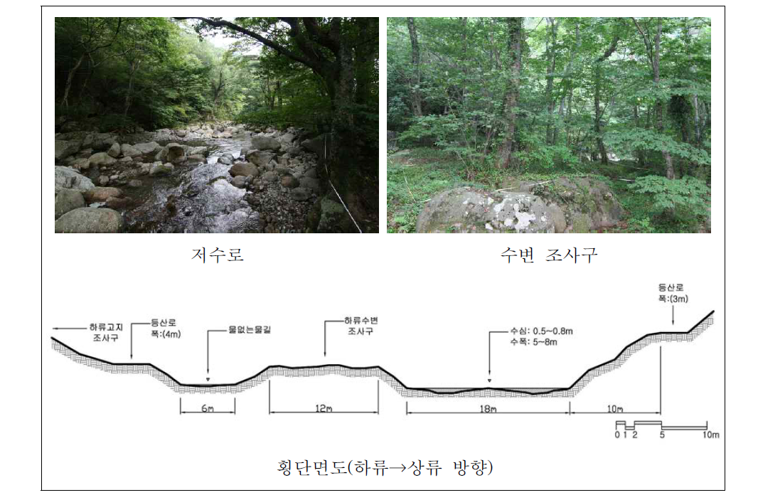 마산천 하류 자연수변림 횡단면구조