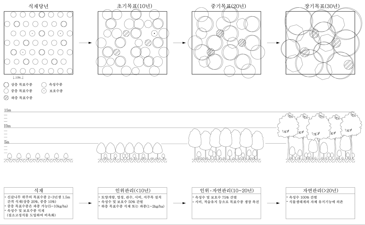 자연녹지구조의 모델화를 통한 신갈나무림 생태식재 사례도