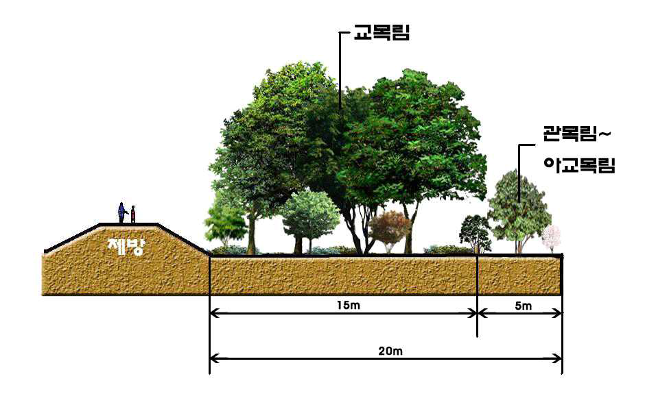 내부 주연부에서의 수림구조 모식도