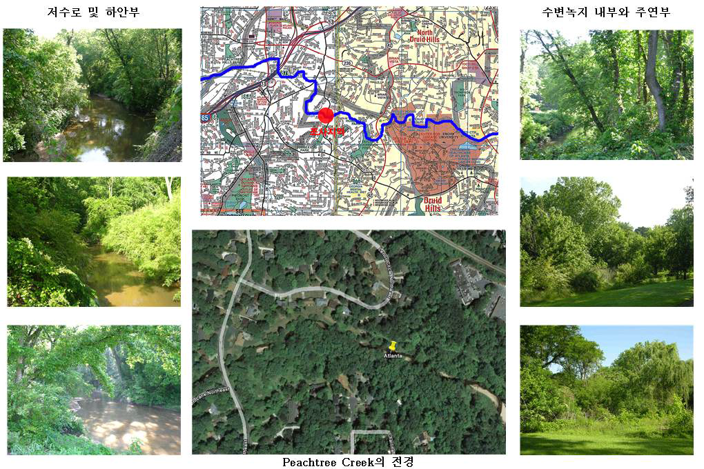 Peachtree Creek의 수변녹지 및 하천구조