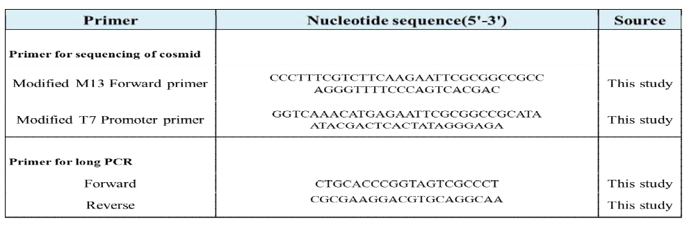 Cosmid DNA 염기서열 분석과 PCR 에 사용한 primer 정보