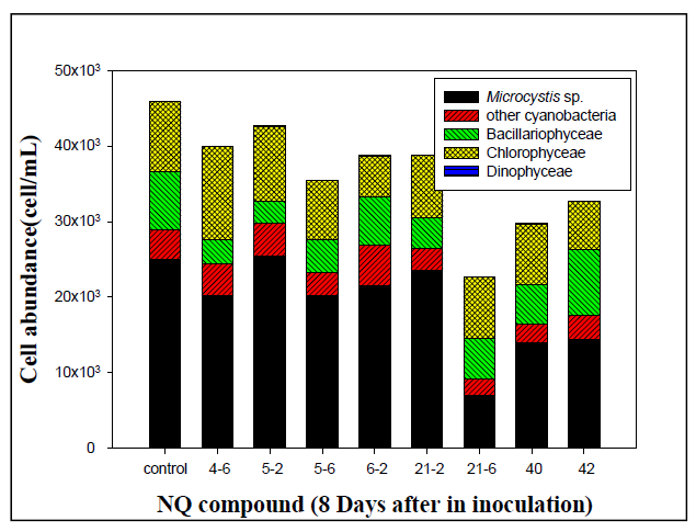 NQ 계열 물질(04-4, 05-3, 05-4, 06-3, 21-3, 21-4, 40, 42)의 접종후 10일째 남조류 Microcystis spp.에 대한 살조활성 평가