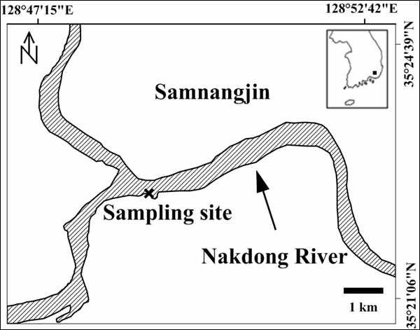 낙동강내 Sampling site