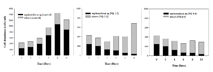 Microcosm 실험내의 NQ compound 02-3, 04-4 물질의 10일간의 Stephanodiscus spp.의 변화량