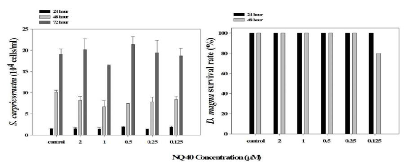 Selenastrum capricornutum, Daphnia magna를 이용한 NQ 40 물질의 생태독성 평가