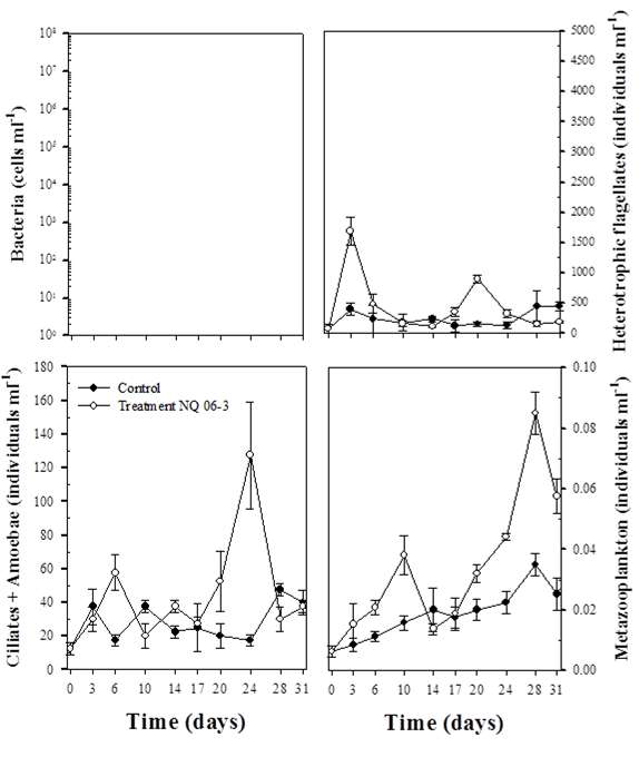 NQ 6-3 (400 nM) 접종 후 대조구와 처리구 내 bacteria, heterotrophic flagellates, ciliates, amoebae, metazooplankton 개체수의 일변화