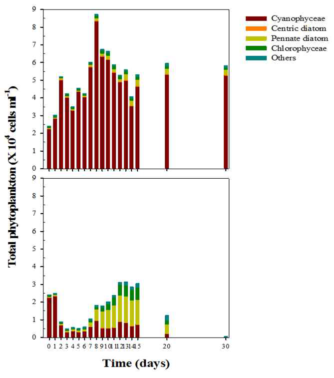 NQ 40 (500 nM) 접종 후 대조구와 처리구 내 phytoplankton종 조성 및 개체수의 일변화