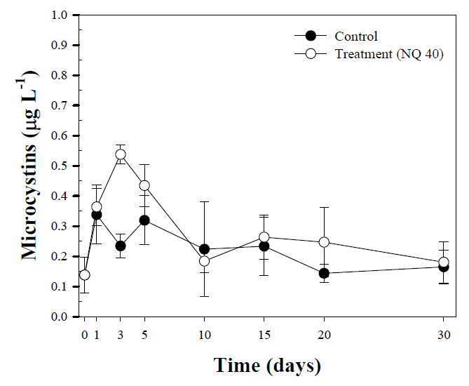 NQ 40 (500 nM) 접종 후 대조구와 처리구 내 extracellular microcystins의 일변화