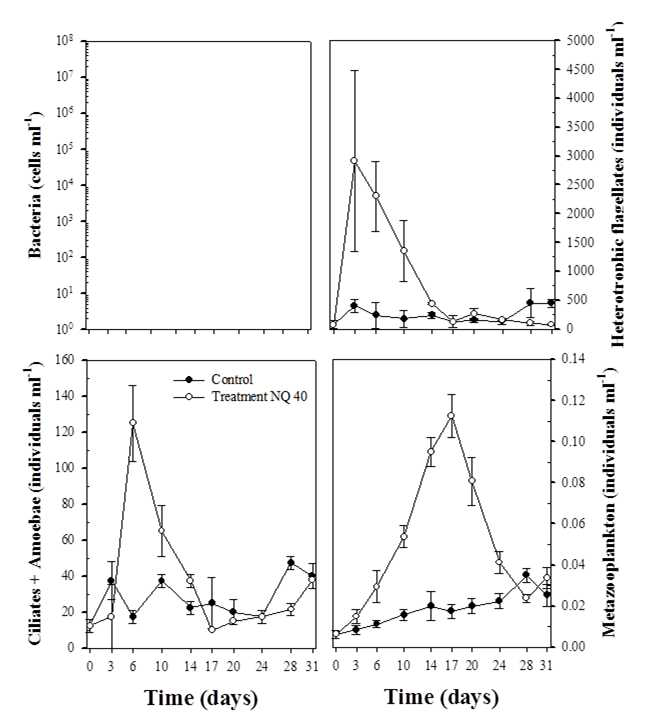 NQ 40 (500 nM) 접종 후 대조구와 처리구 내 bacteria, heterotrophic flagellates, ciliates, amoebae, metazooplankton 개체수의 일변화