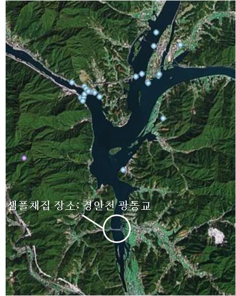 SK08을 분리한 샘플 채집 장소의 구글어스 위성사진
