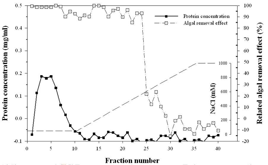 Anion-exchange chromatography 분석 후 확보한 4~6번 분획의 cation-exchange chromatograghy 분석과 살조활성 평가