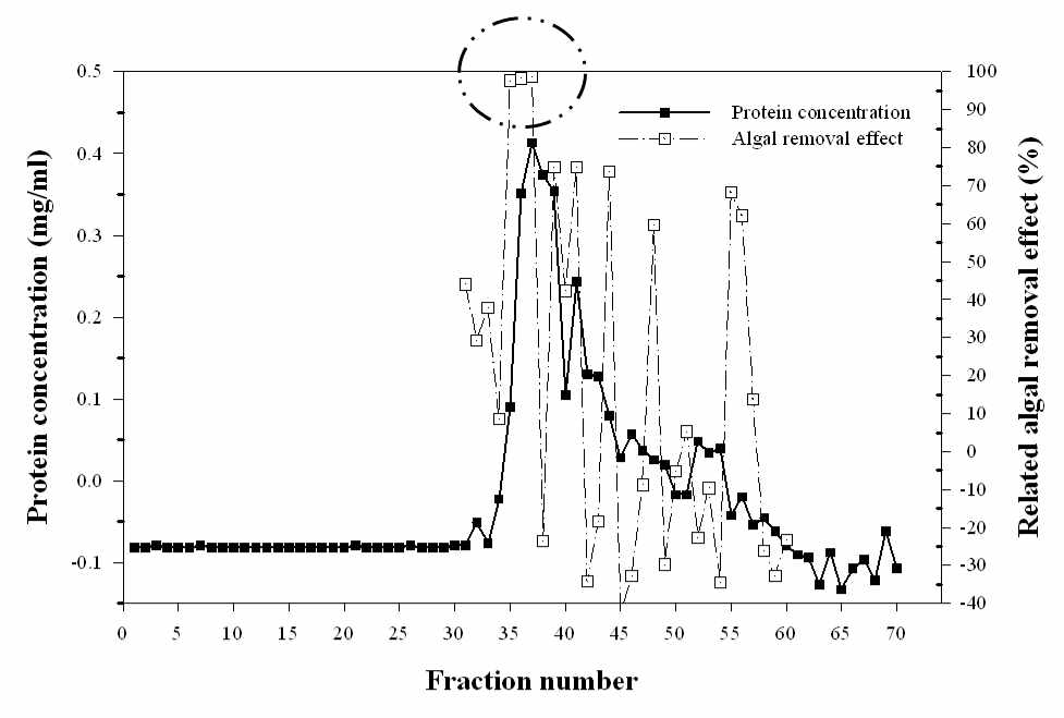 Anion-exchange chromatography 분석 후 확보한 37~42번 분획의 gel filtration chromatograghy 분석과 살조활성 평가