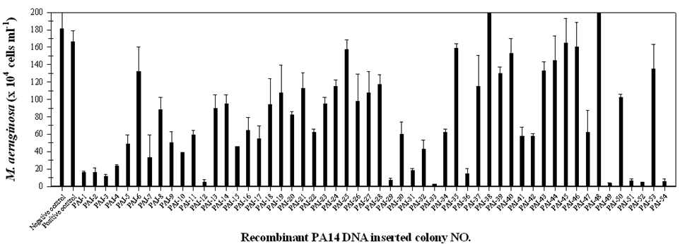 살조세균 PA14의 무작위적 30~40 kbp genome DNA가 탑재된 각각의 E. coli colony의 살조활성 평가
