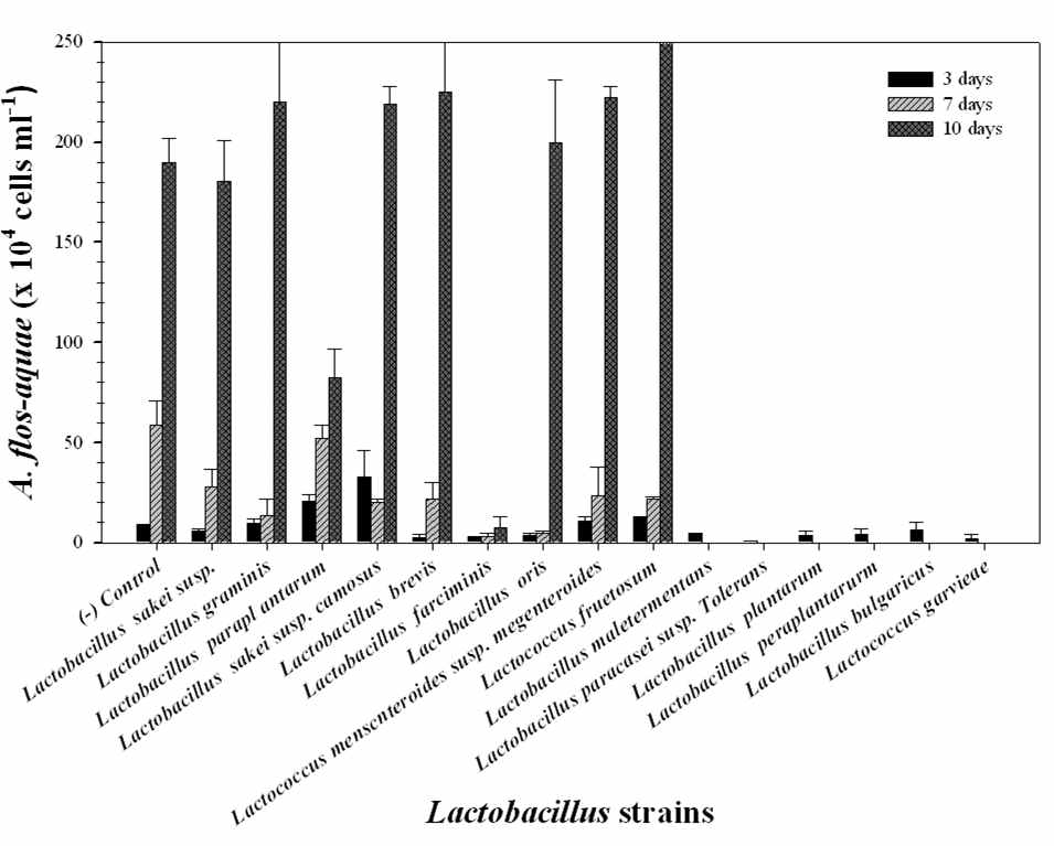 남조 A. flos-aquae를 대상으로 Lactobacillus 속 15종의 1차 살조활성 평가