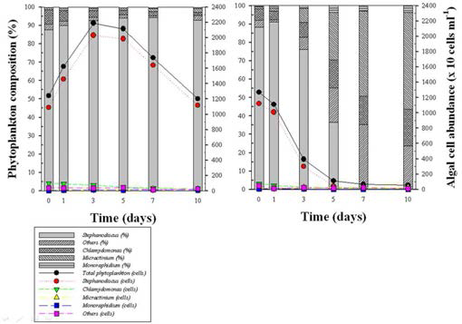 NQ 04-6이 microcosm 내 phytoplankton 군집에 미치는 영향평가