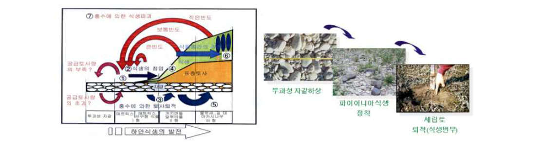 육역화 진행과정