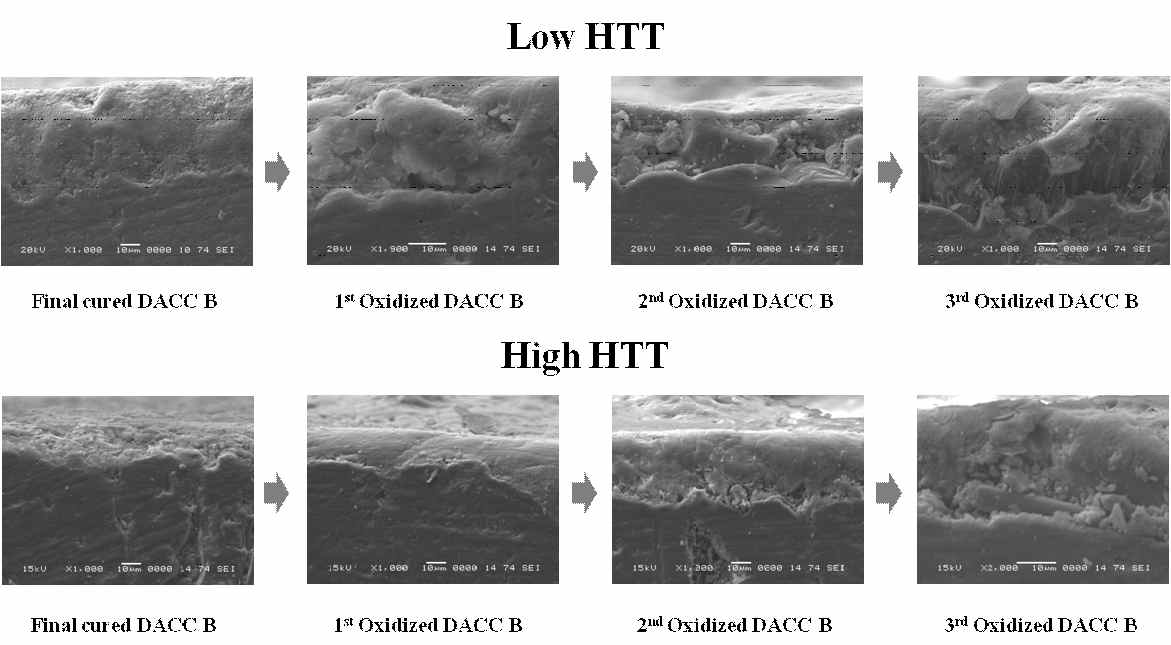 SEM images of anti-oxidants cured and oxidized OXI-PAN fiber preform used carbon/carbon composites. (Cross section)