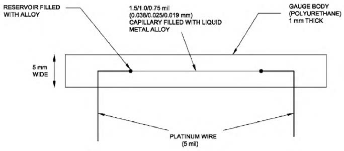 Elastomer Gauge 개략도