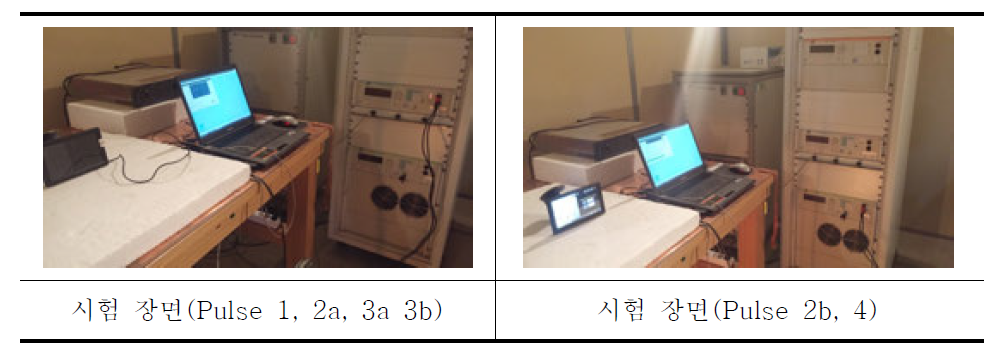 네비게이션 과도전도 내성시험 장면