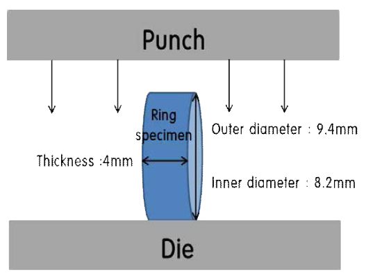 Schematic configuration of compressive testing.