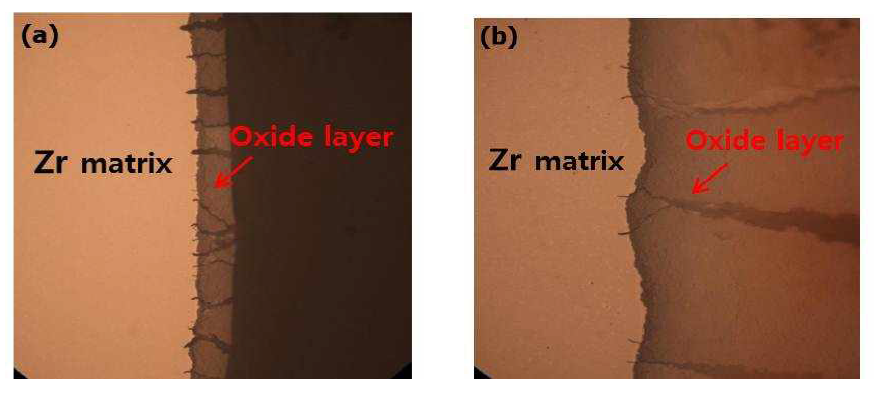 Brittle cracks formed in the oxide and propagated into Zr alloy matrix at the compressive displacement of 5 mm (a) oxidized at 700℃ for 3hrs, (b) oxidized at 700℃ for 24 hrs.