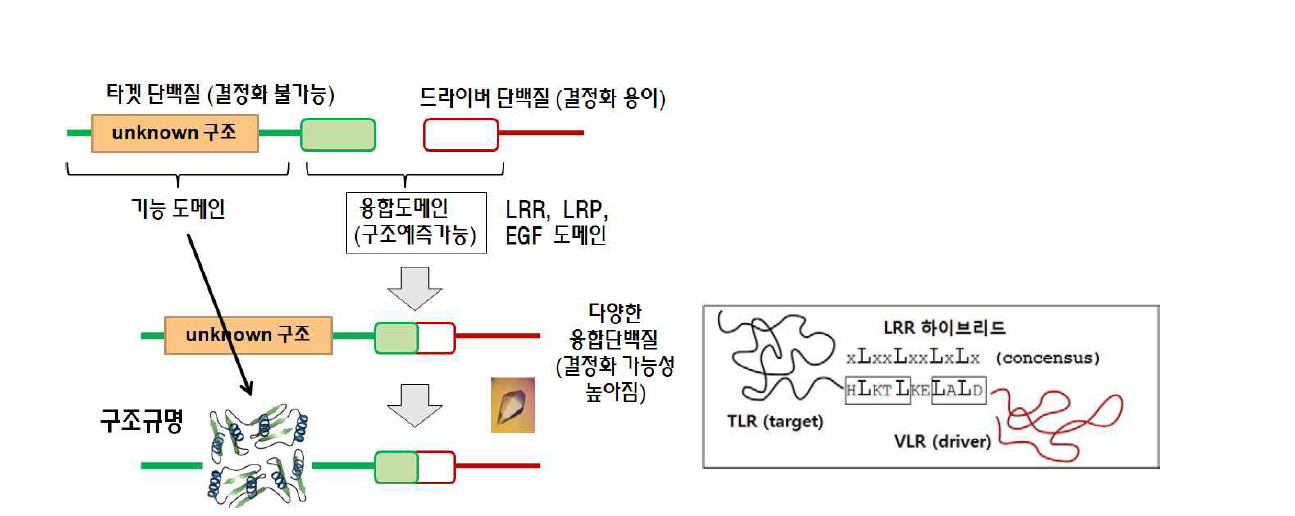 하이브리드 단백질 기술