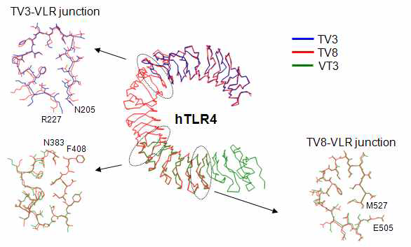 하이브리드 LRR 기술은 TLR과 VLR의 구조와 기능에 전혀 영향을 미치지 않았다