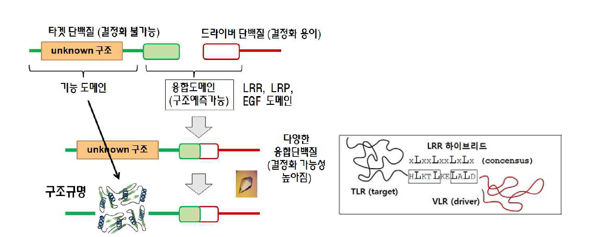 하이브리드 LRR 기술