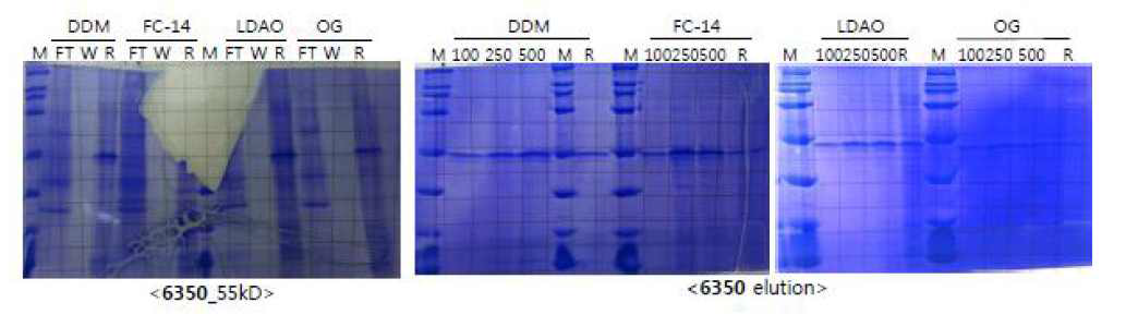 DR4, TNFRSF9 생산 테스트 결과