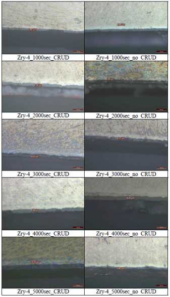 공기 중 산화 시편 800℃ Zirclaioy-4