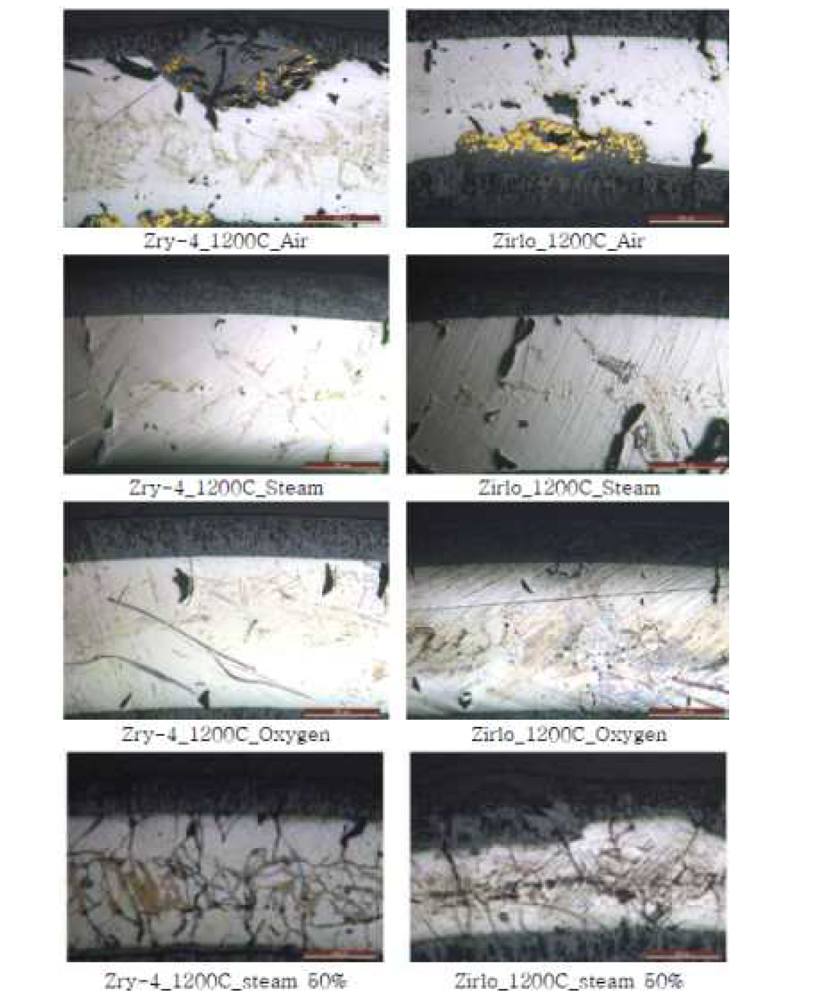 1200℃에서 주변기체별 산화된 시편의 OM 사진