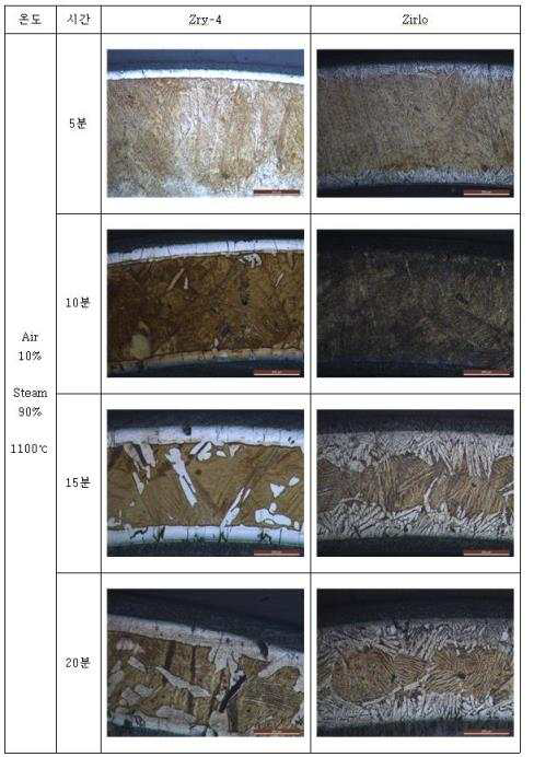 1100C에서 공기10% : 수증기90% 혼합기체에서 산화된 시편의 OM 사진