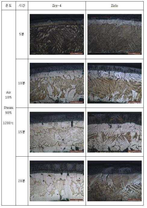 1200C에서 공기10% : 수증기90% 혼합기체에서 산화된 시편의 OM 사진