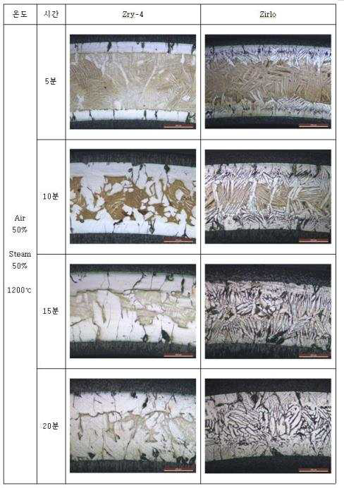 1200C에서 공기50% : 수증기50% 혼합기체에서 산화된 시편의 OM 사진