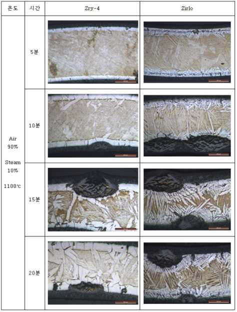 1100C에서 공기 90% 수증기 10% 혼합기체에서 산화된 시편의 OM 사진