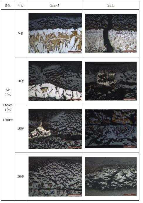 1200C에서 공기 90% 수증기 10% 혼합기체에서 산화된 시편의 OM 사진