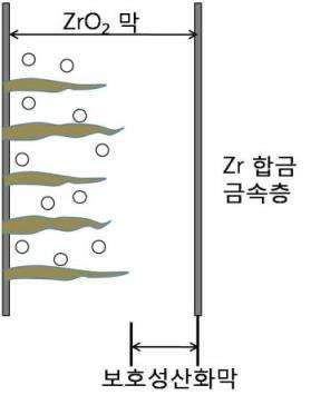 Zirconium alloy 산화 1차법칙