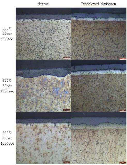 800℃ 50bar 피복관의 미세구조