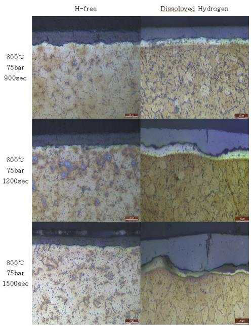 800℃ 75bar 피복관의 미세구조