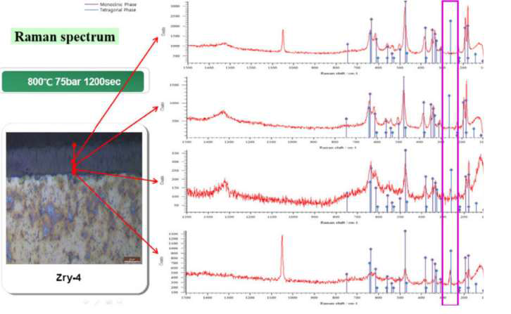 800℃ 75bar 1200sec 일반 피복관 산화막 Raman spectrum