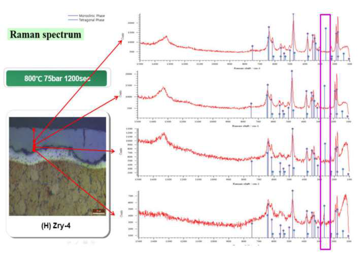 800℃ 75bar 1200sec 수소장입 피복관 산화막 Raman spectrum