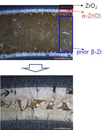 Zr합금 산화 중 산화막의 성장