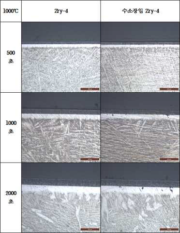 1,000℃ 대기압·수증기 분위기에서의 Zry-4 피복관의 미세구조(OM)-1