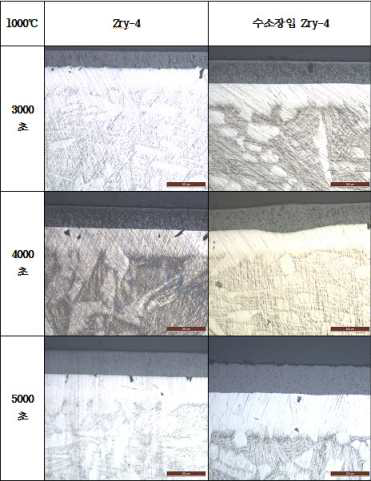 1,000℃ 대기압·수증기 분위기에서의 Zry-4 피복관의 미세구조(OM)-2