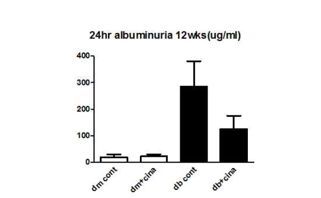 제2형 당뇨모델인 db/db 마우스에서 Cinacalcet의 알부민뇨 감소효과.