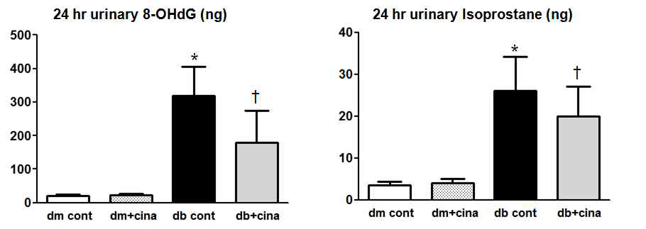 제2형 당뇨모델인 db/db 마우스에서 cinacalcet의 24시간 8-OHdG 및 isoprostane 농도 감소효과