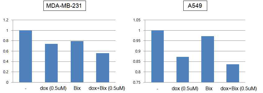 G9a inhibitor와 doxorubicin의 drug sensitivity